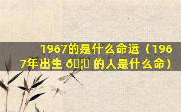 1967的是什么命运（1967年出生 🦉 的人是什么命）